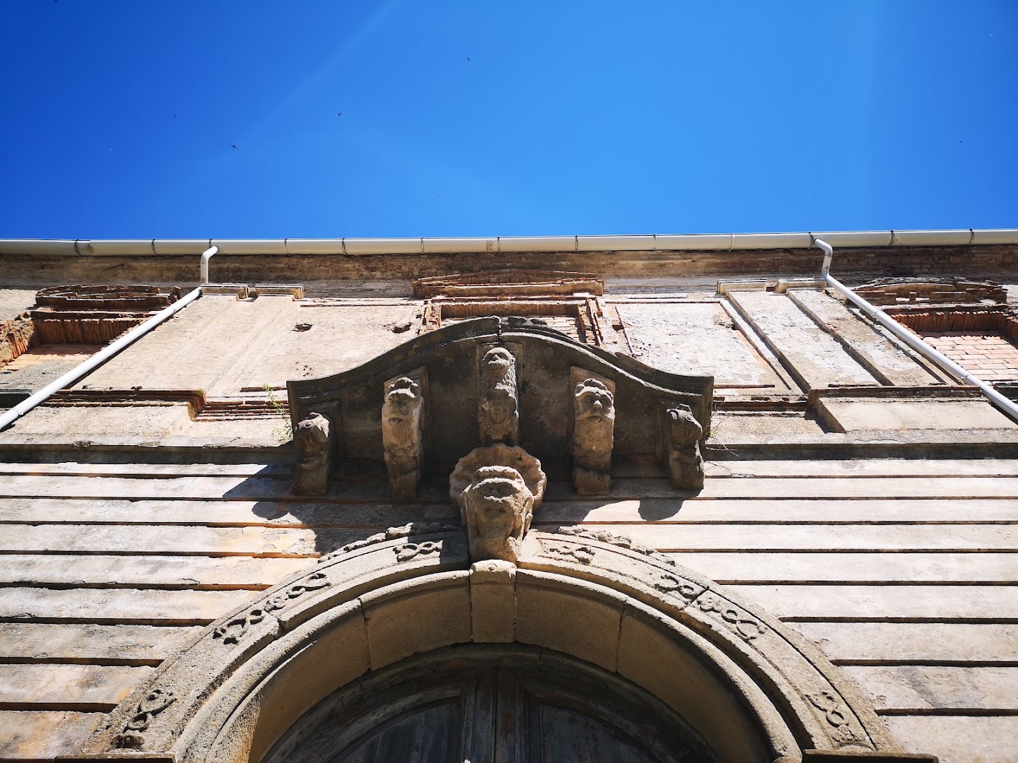 Bar Gibodi