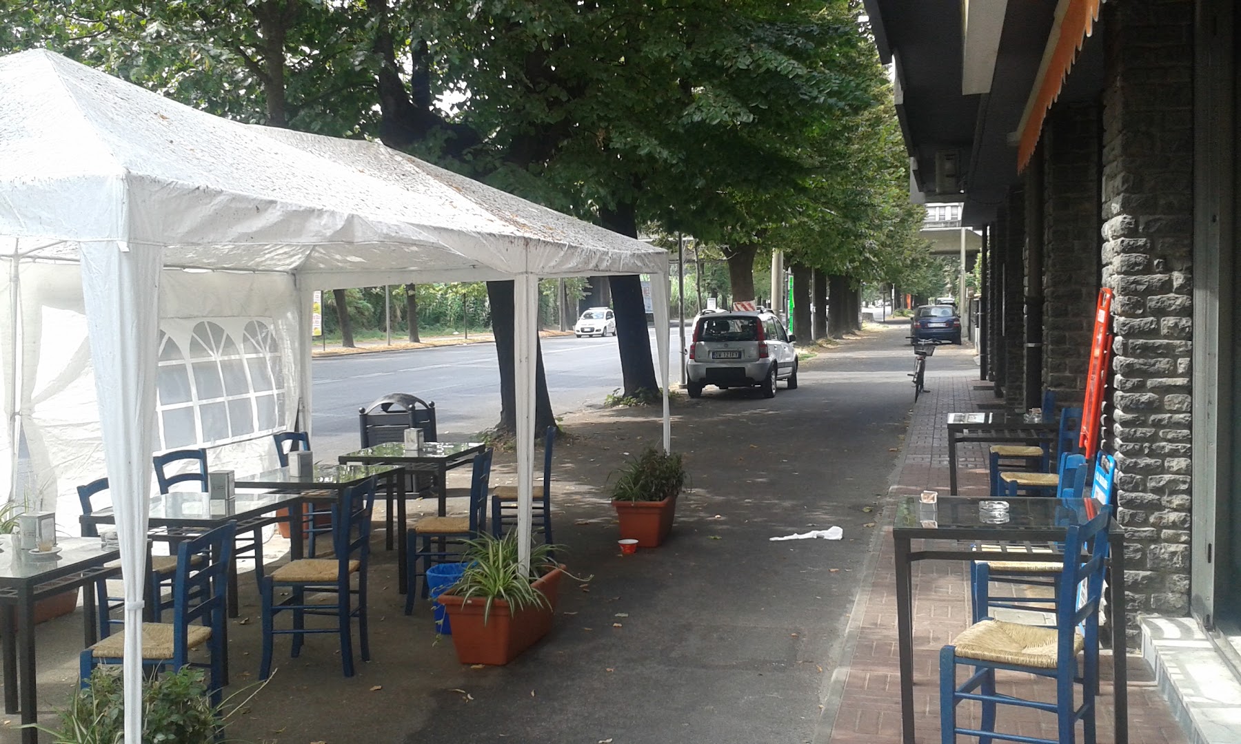 Bar gibus