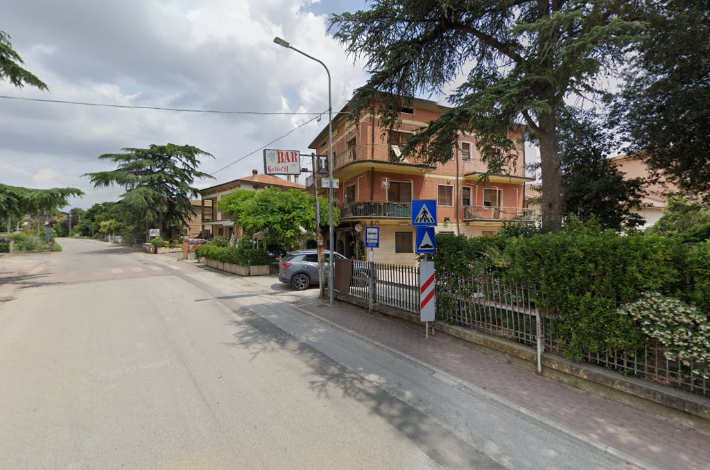 Bar Grifo 91