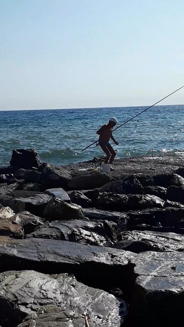 Bar Holidays Di Ardissone Giuliano