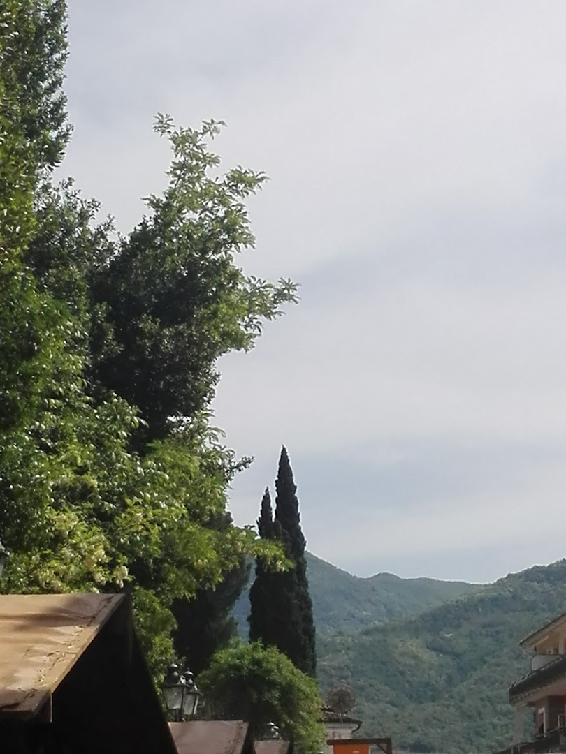 Bar I Monelli Srls