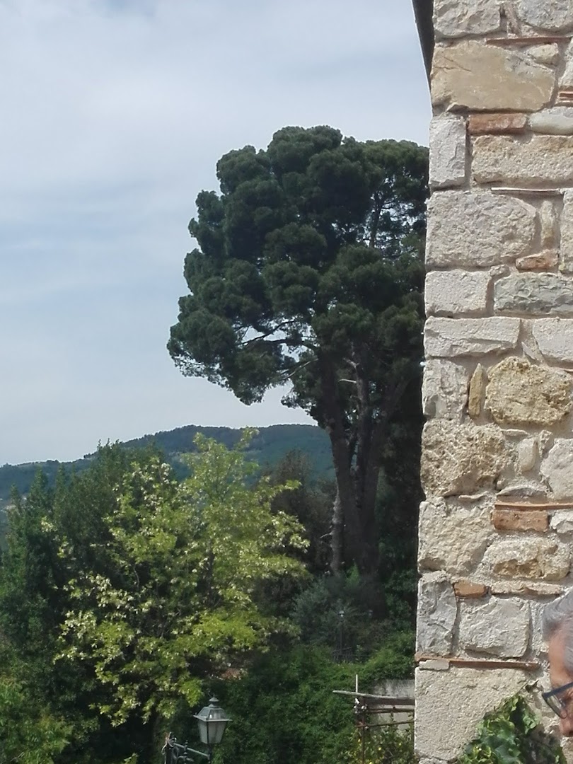 Bar I Monelli Srls