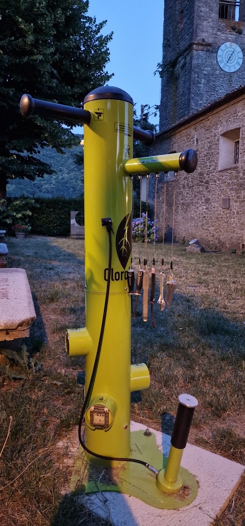 Bar Il Gufo Di Querci