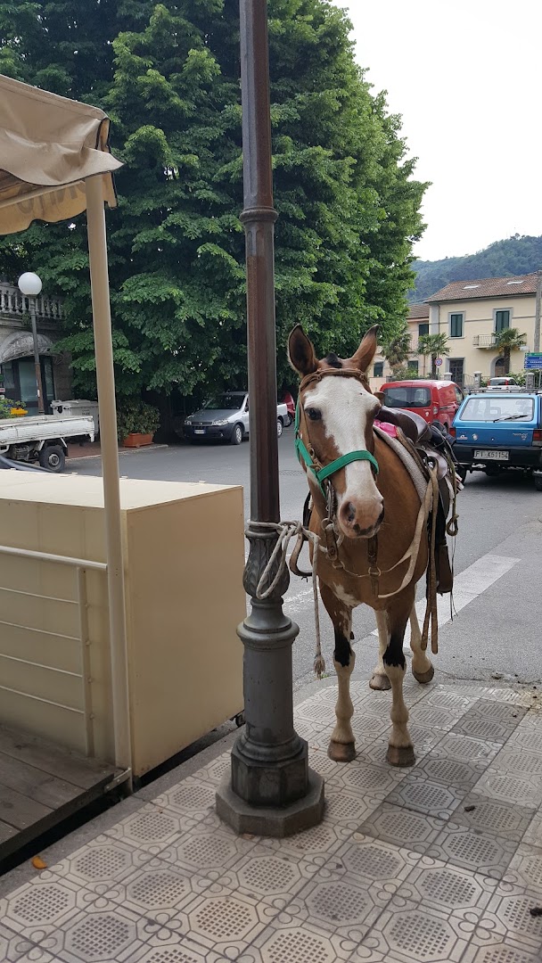 Bar Il Prado
