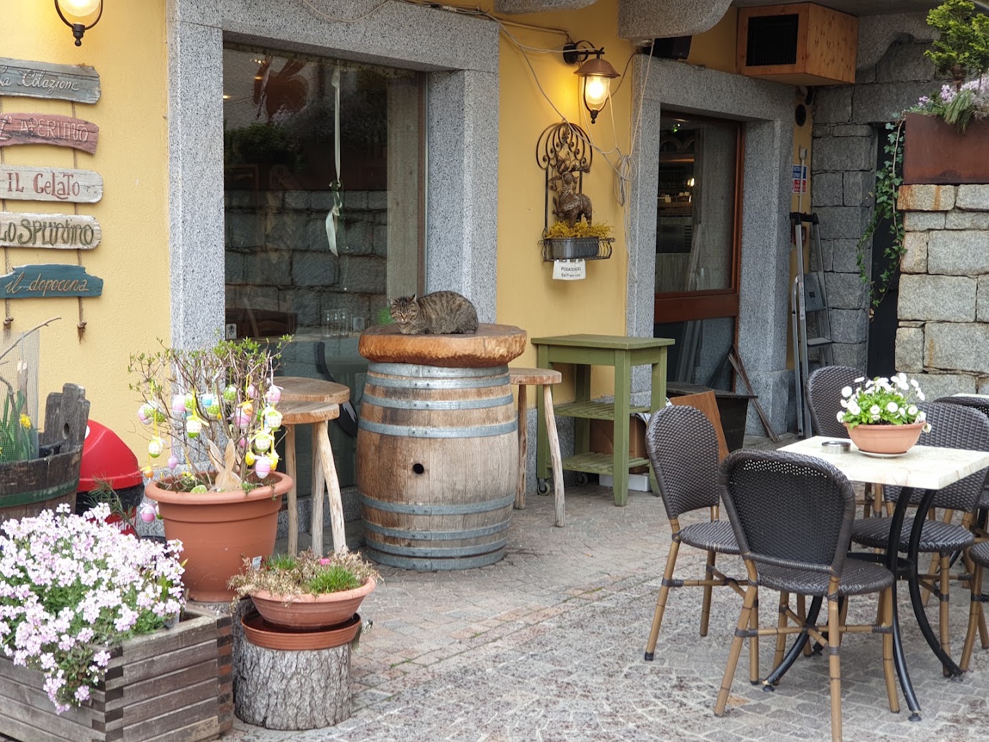 Bar L'asino che vola