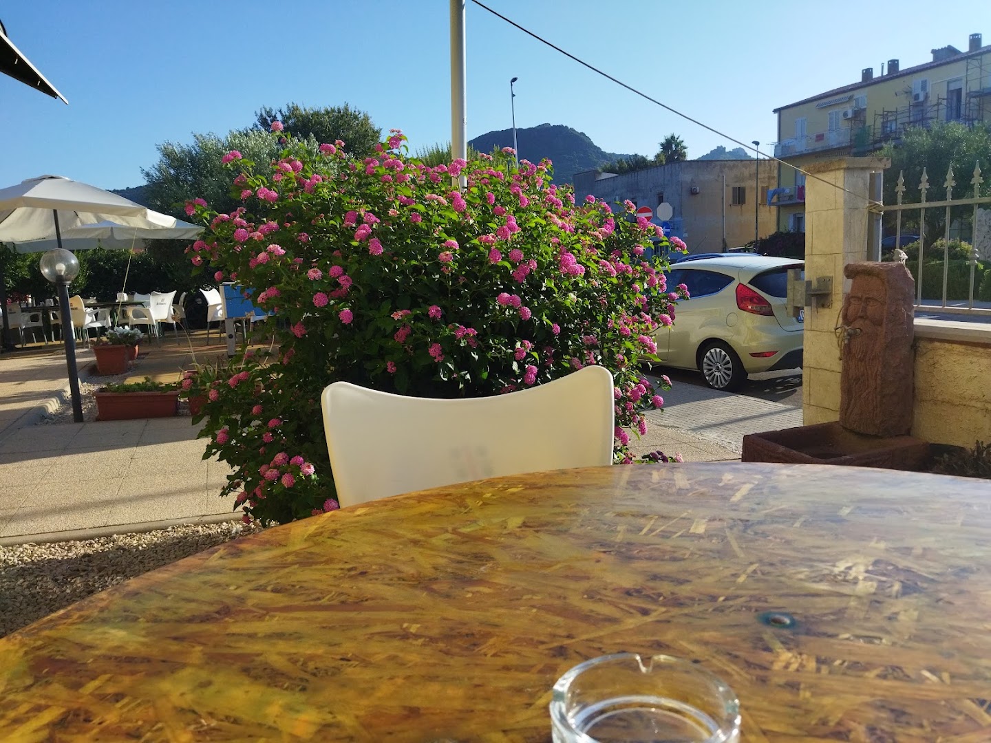Bar Leoni