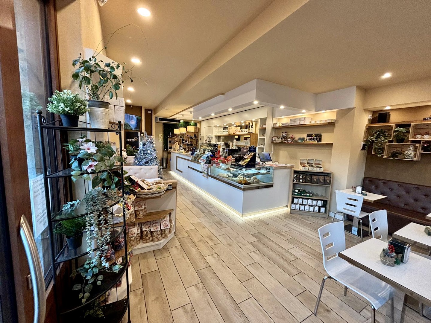 Bar Levey