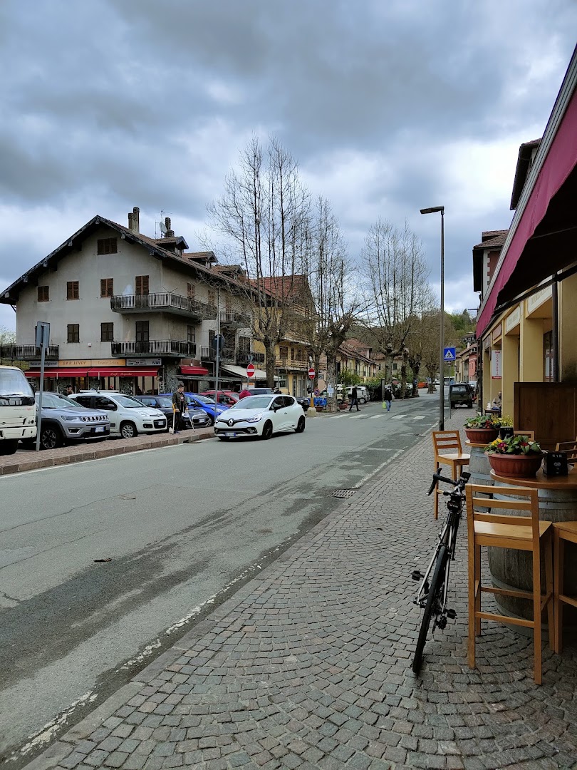 Bar Levey