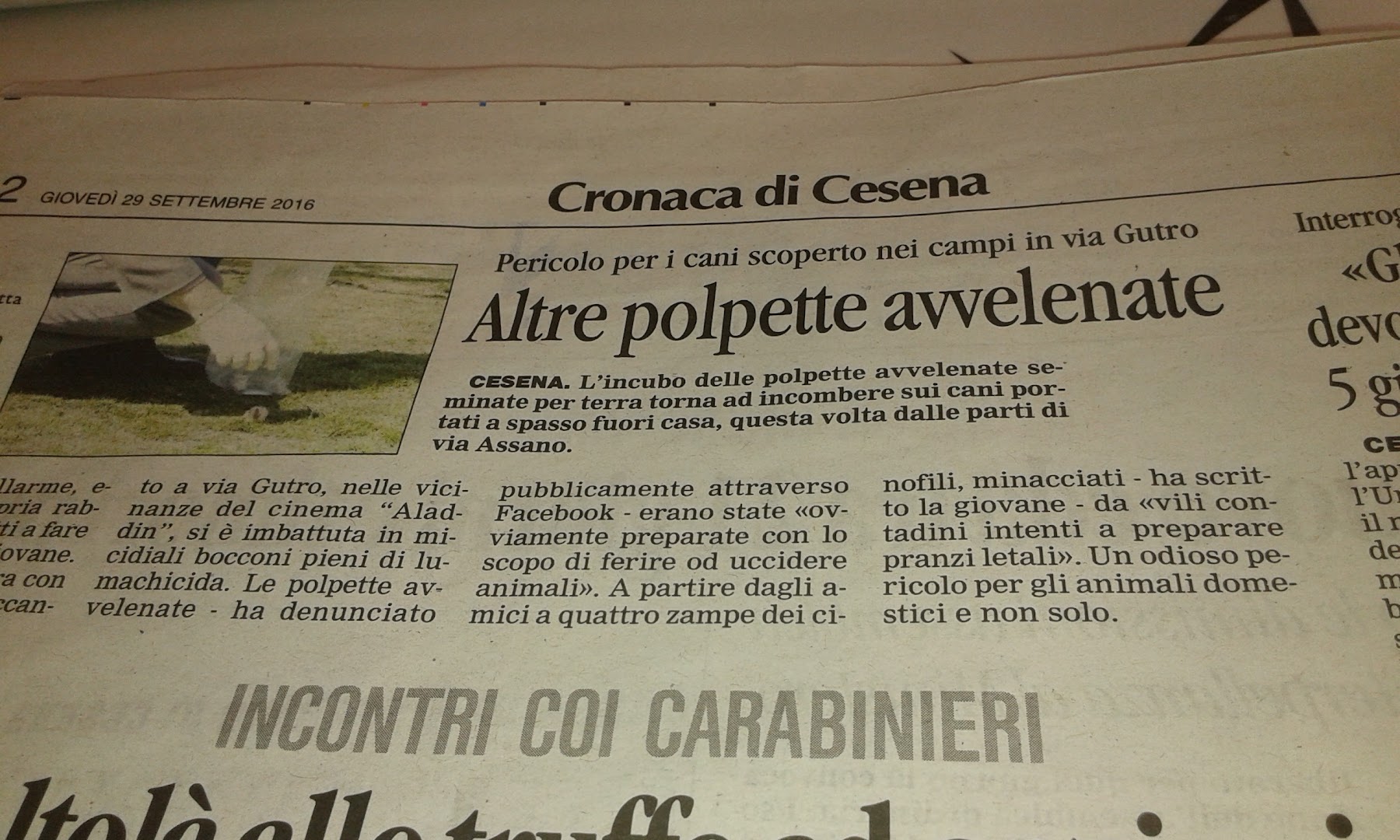 Bar Lupetto