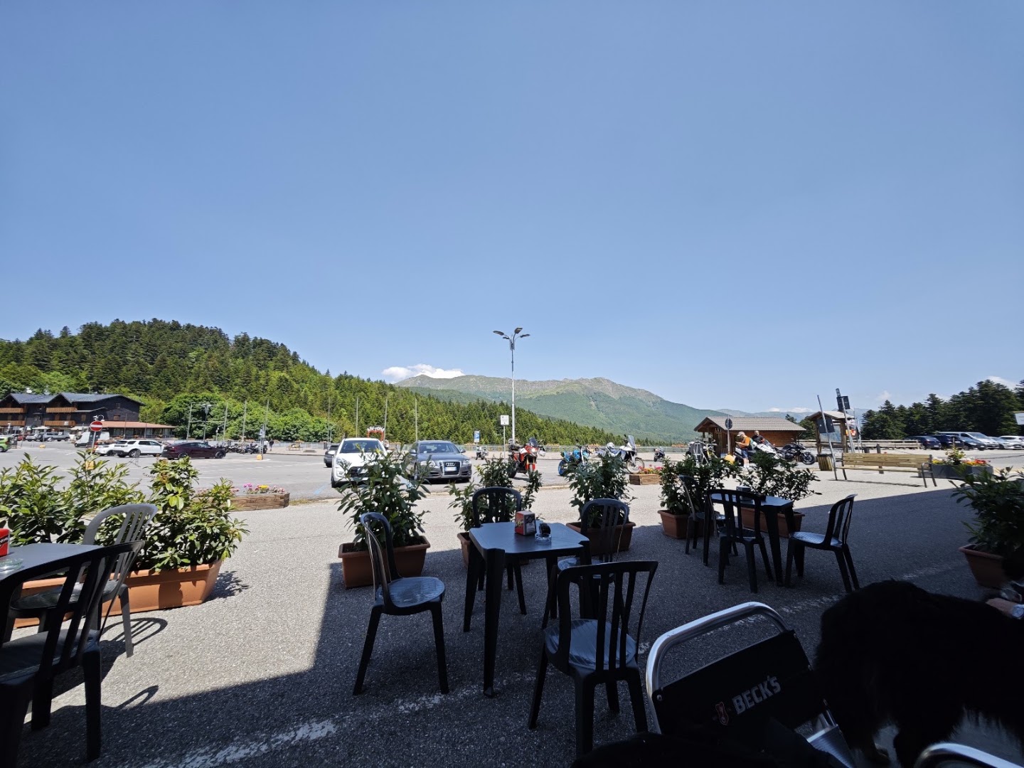 Bar Lupo Bianco
