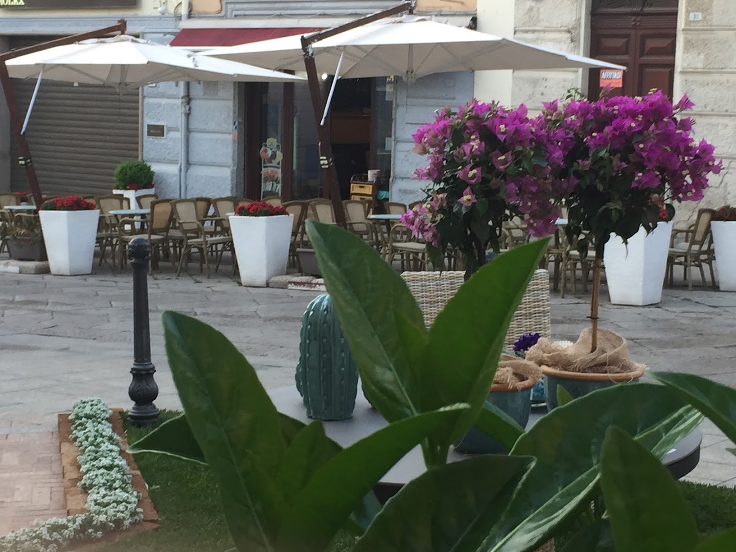 Bar Muzzetto, Olbia