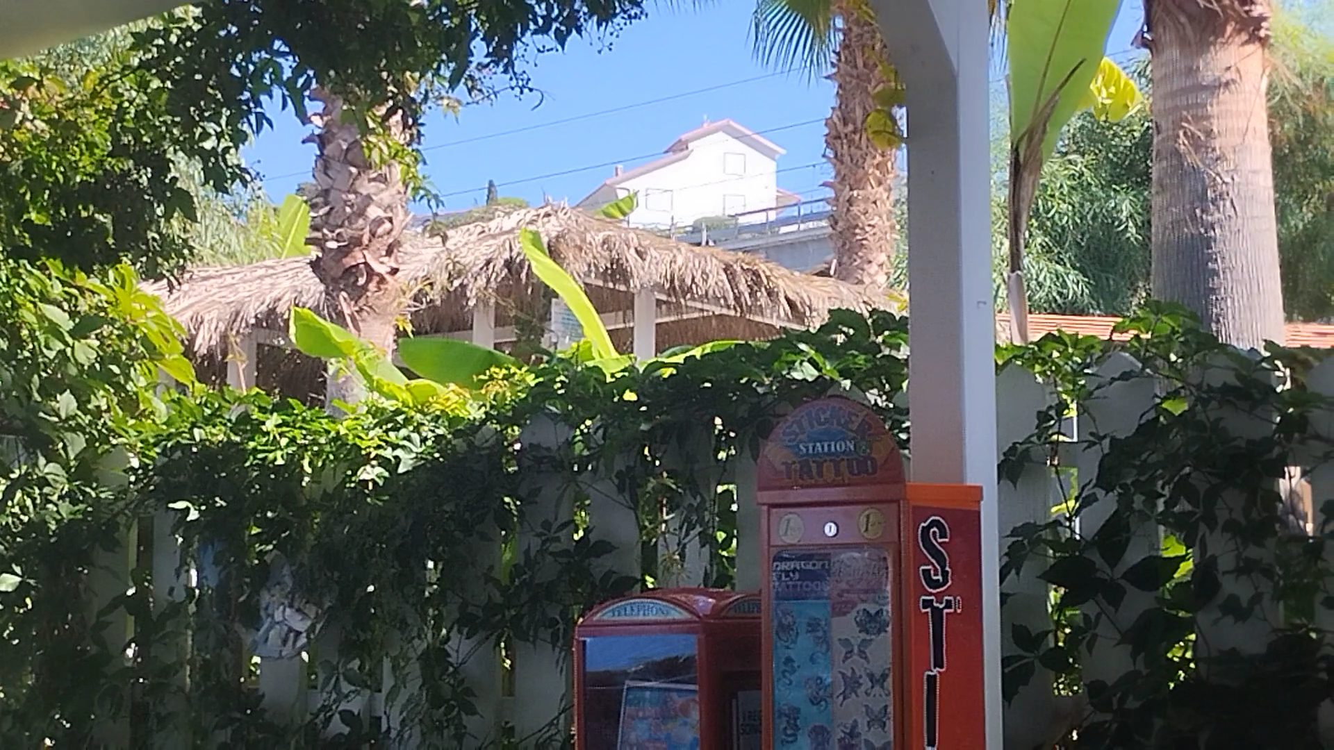 Bar Nuova Playa