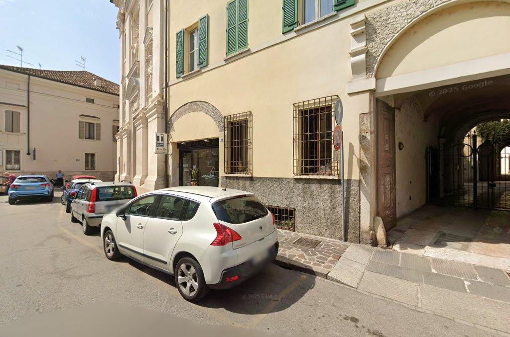 Bar Pavone