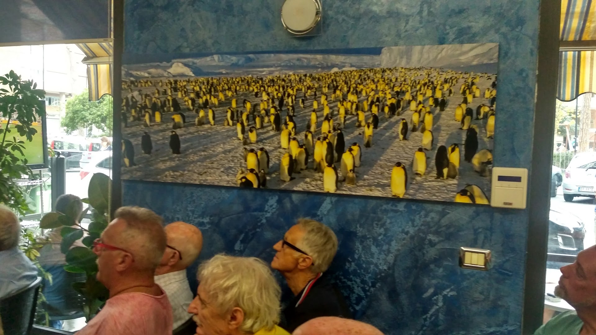 Bar Pinguino di Benucci Renzo