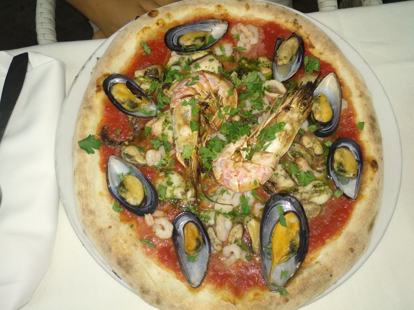 Bar Pinguino