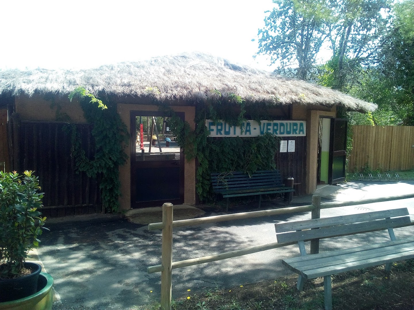 Bar Pizzeria Baia Verde