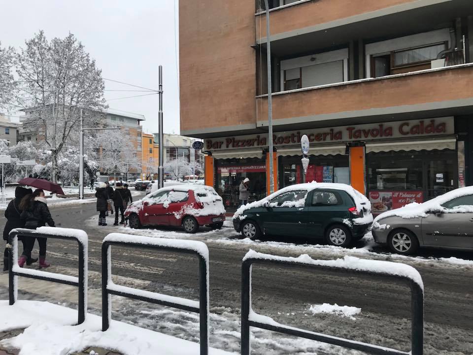 Bar Pizzeria Rosticceria Tavola Calda Gerani Roma