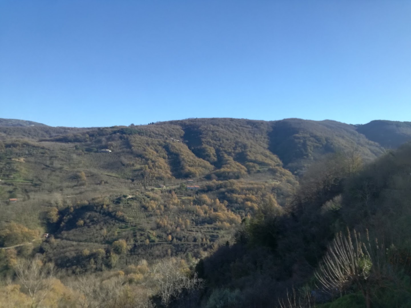 Bar Ponzo