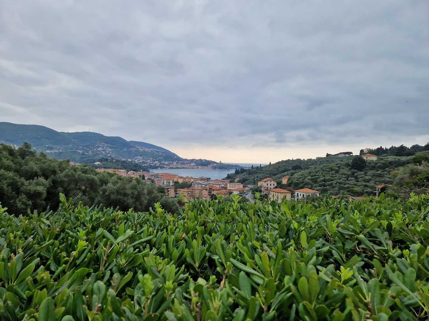 Bar Pozzuolo, Lerici