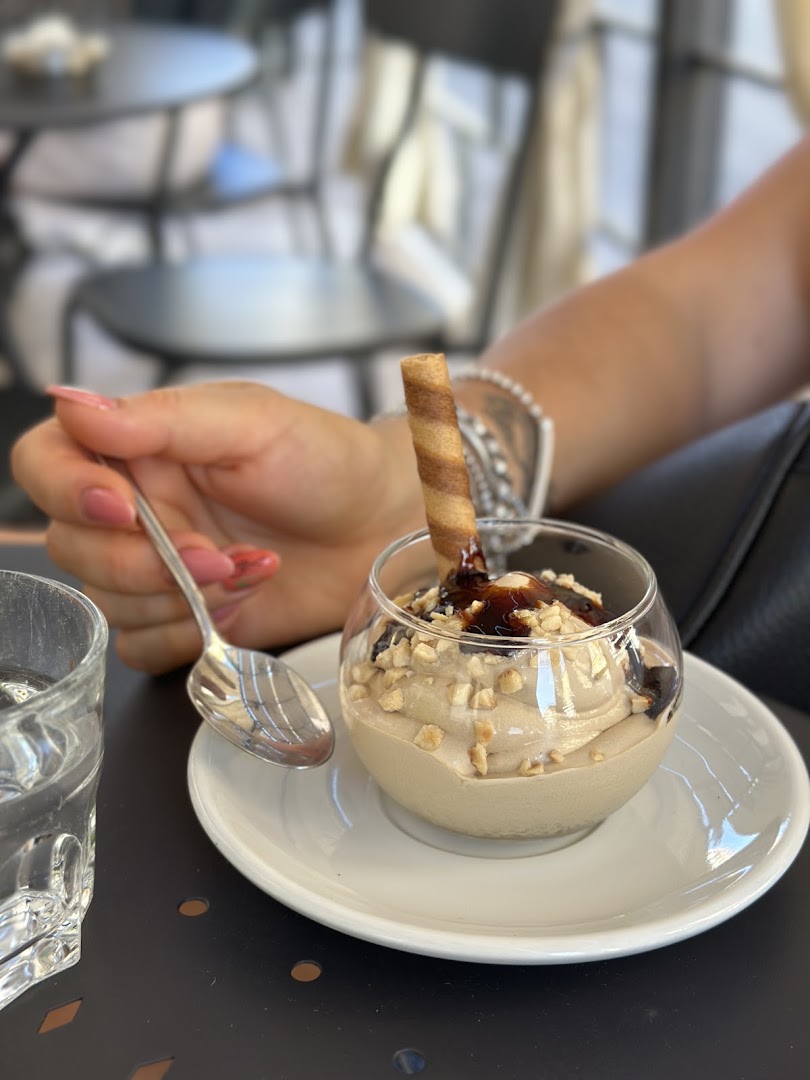 Bar Prosit Ploom Store
