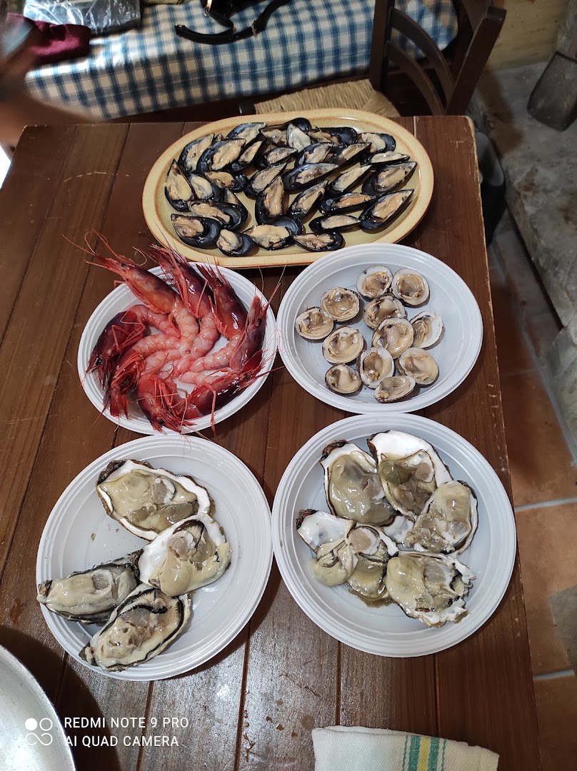 Bar Ricevitoria Peluso