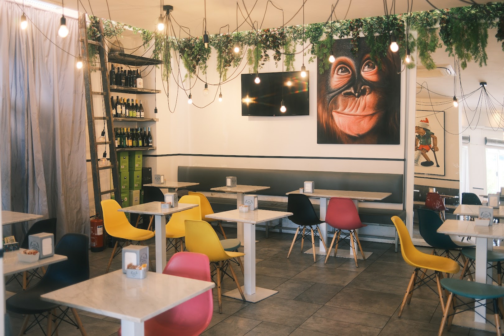 Bar "Rio Vicano"