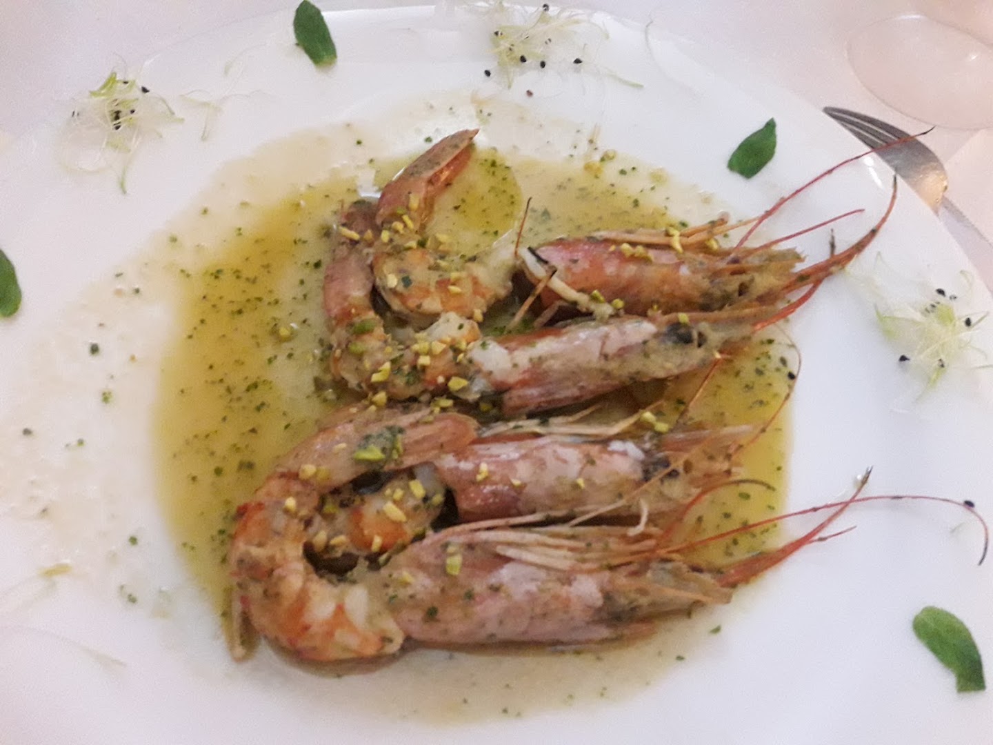 Bar Ristorante Bellotti, Genova
