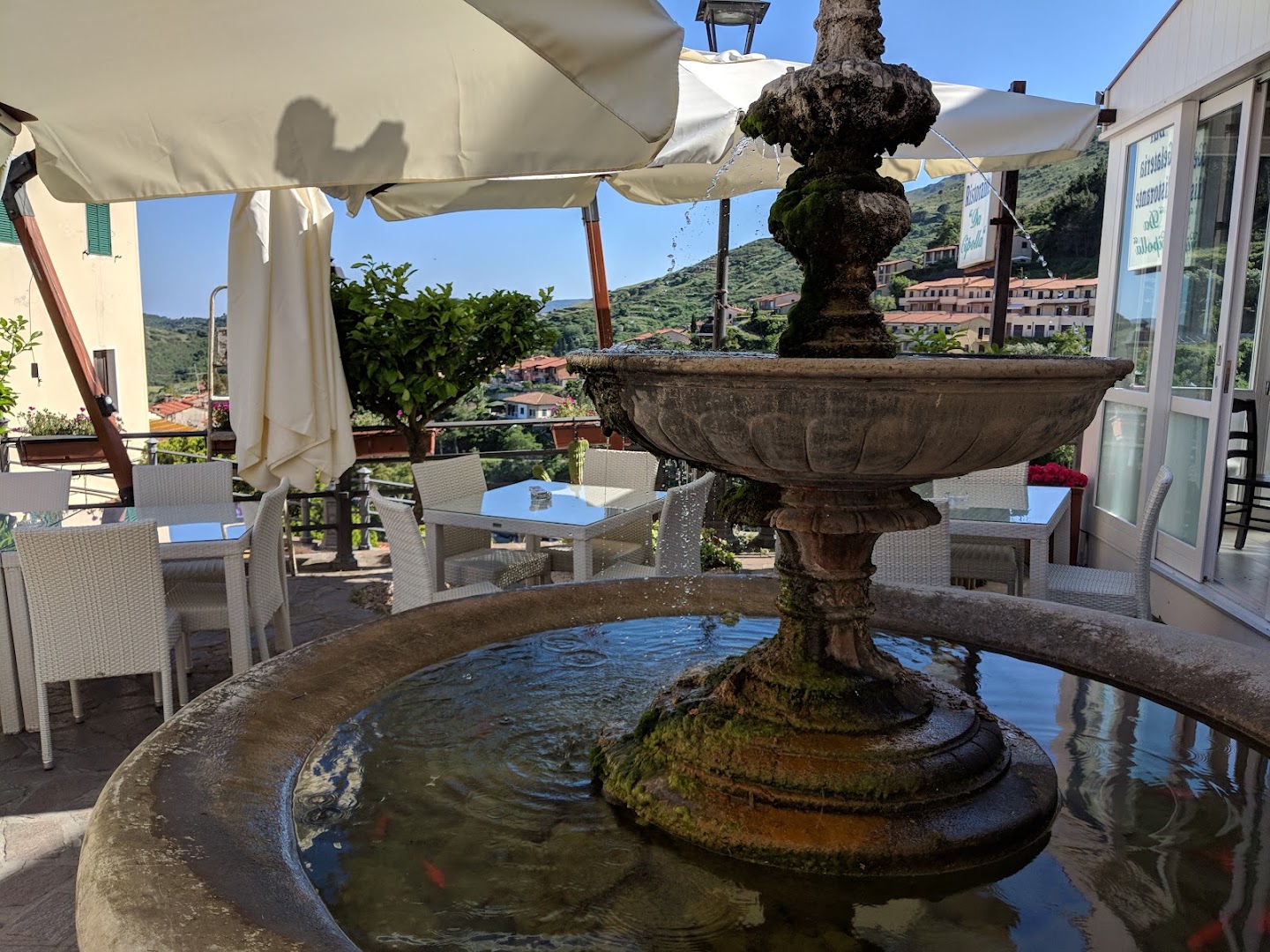 Bar Ristorante Cipolla - Carletti Davide