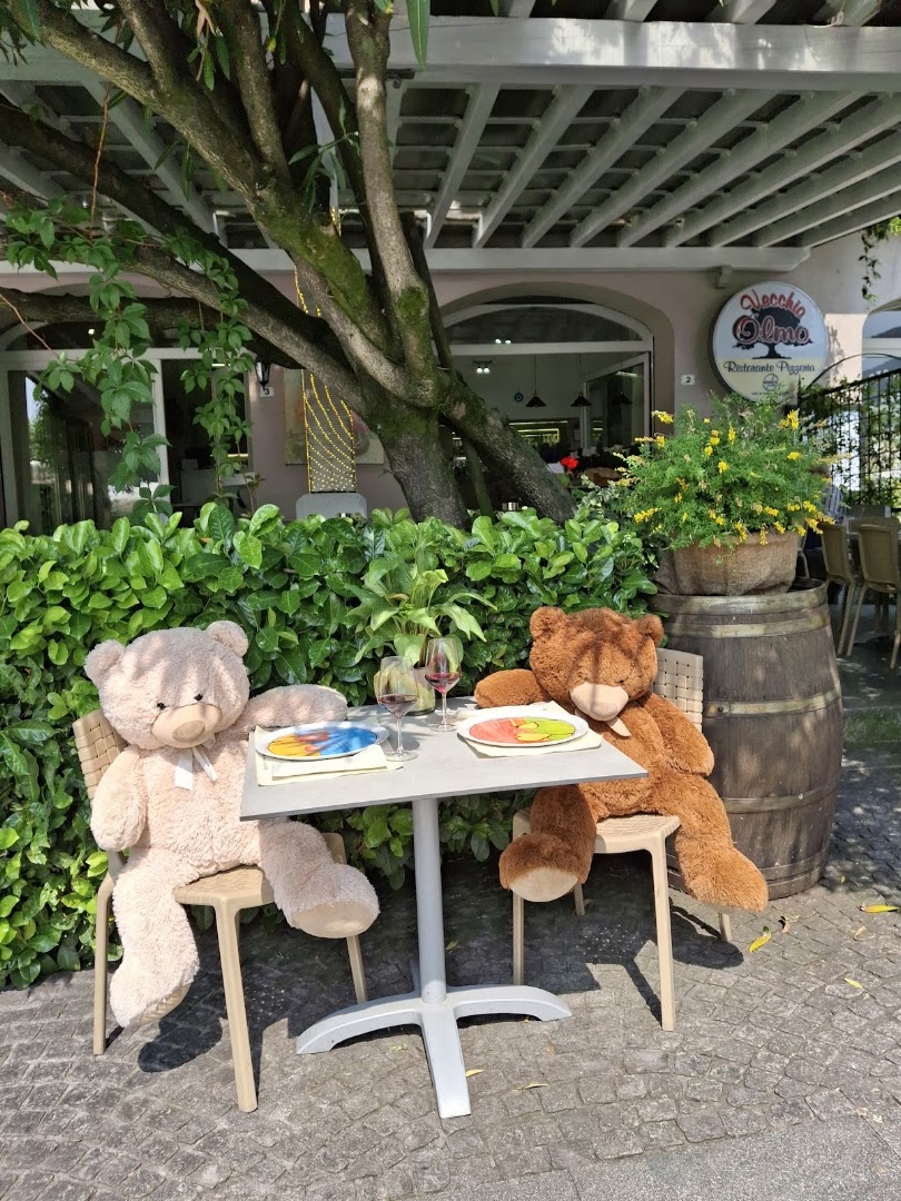Bar Ristorante Vecchio Olmo
