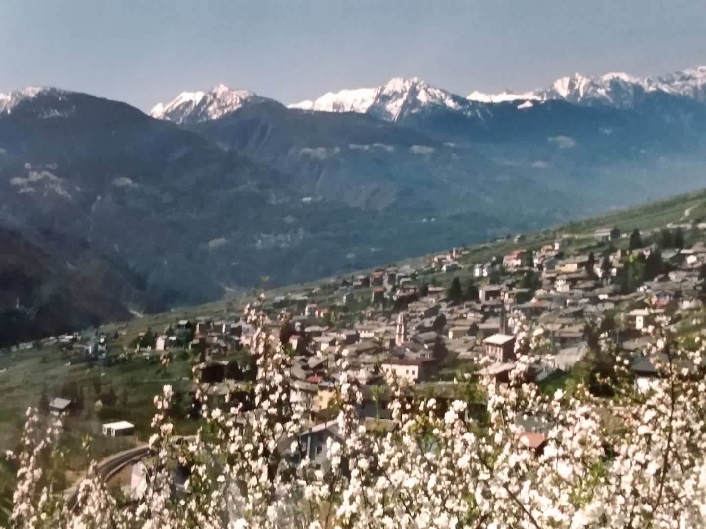 Bar Rizzulin Di Folini Luigi & C. Snc, Ponte In Valtellina