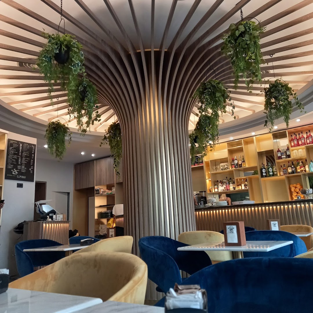 Bar Sassetti