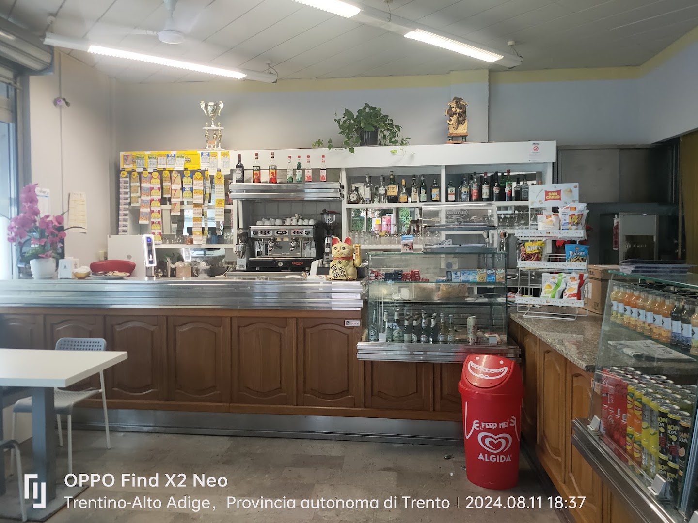 Bar Style, Trento