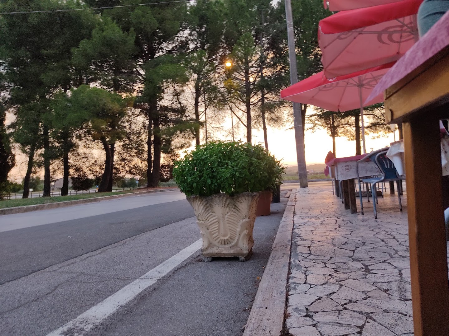 Bar Tabacchi Amica