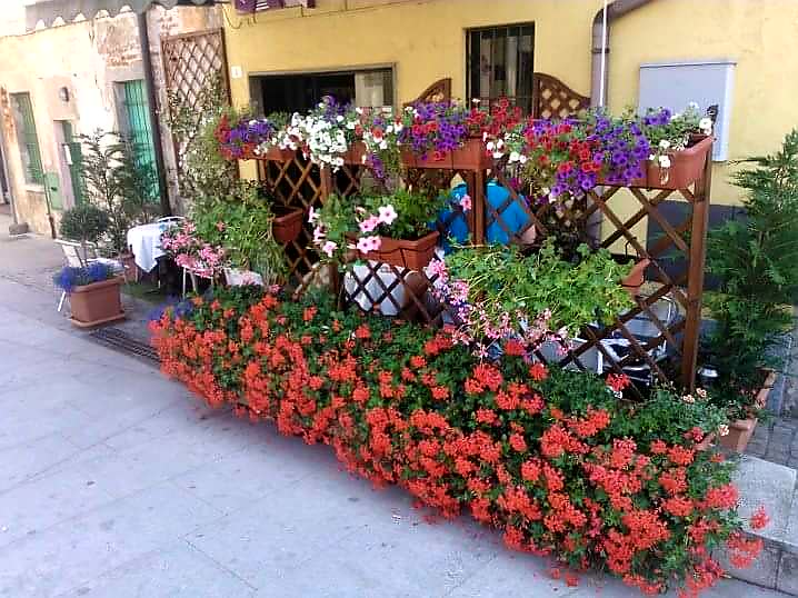Bar Tabacchi Di Tunisi Ambrogina