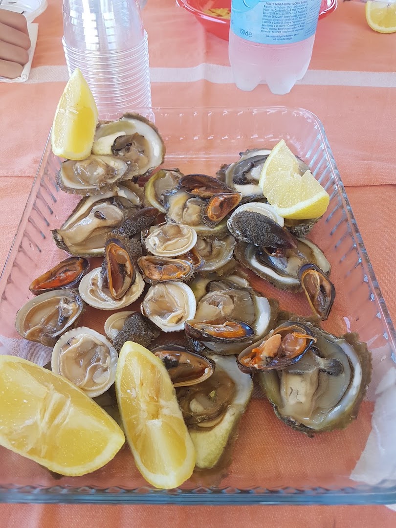BAR TABACCHI FESTIVAL RIV. 34