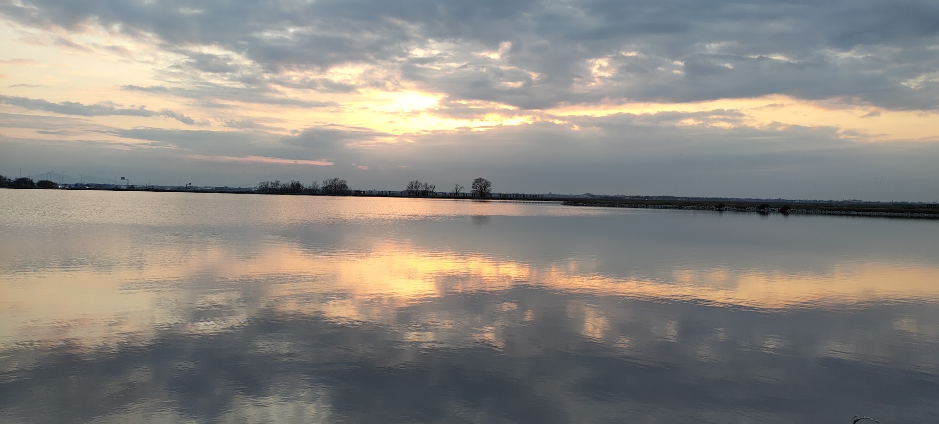 Bar Tabacchi Le Saline