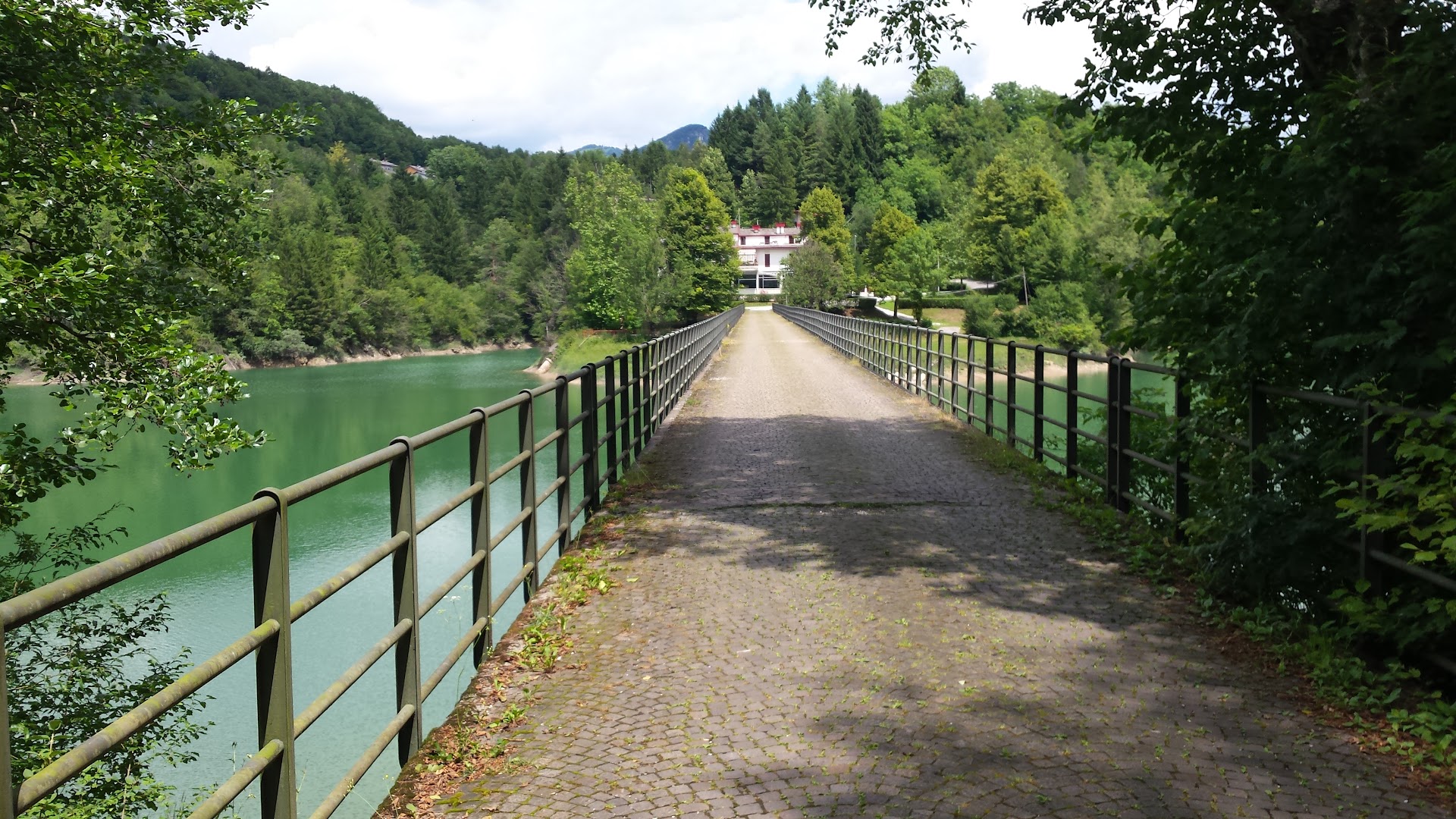 Bar Tassotti