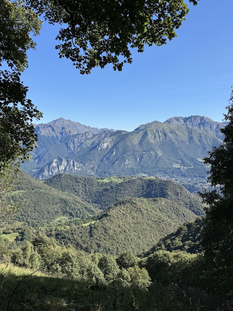 Bar Ticozzi Calimero
