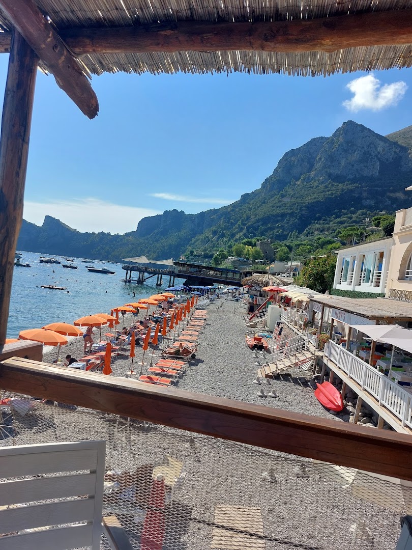 Bar Titonno