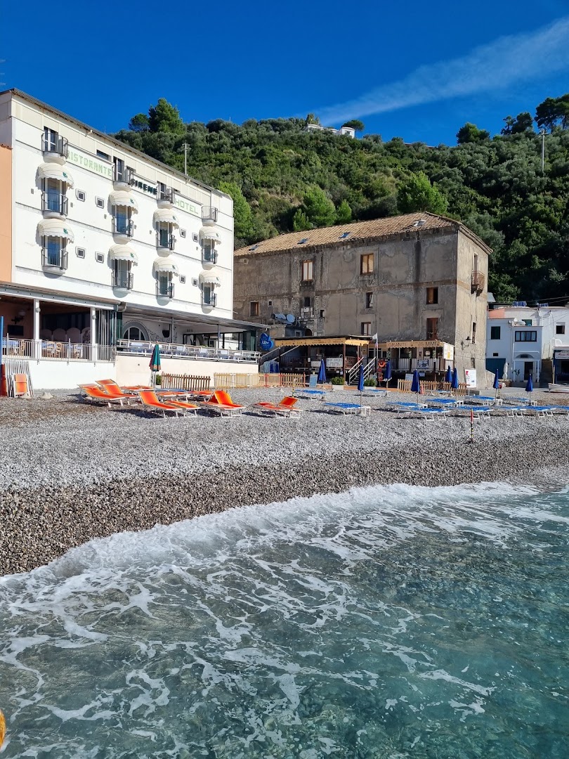 Bar Titonno