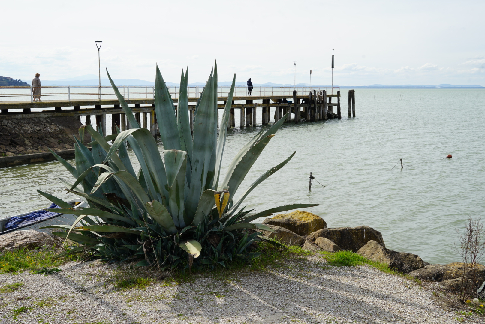 Bar Trasimeno di Lucertini Gabriele