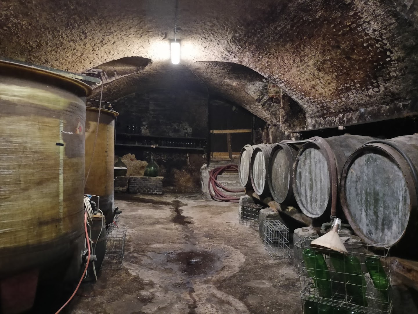Bar Trattoria Basilio