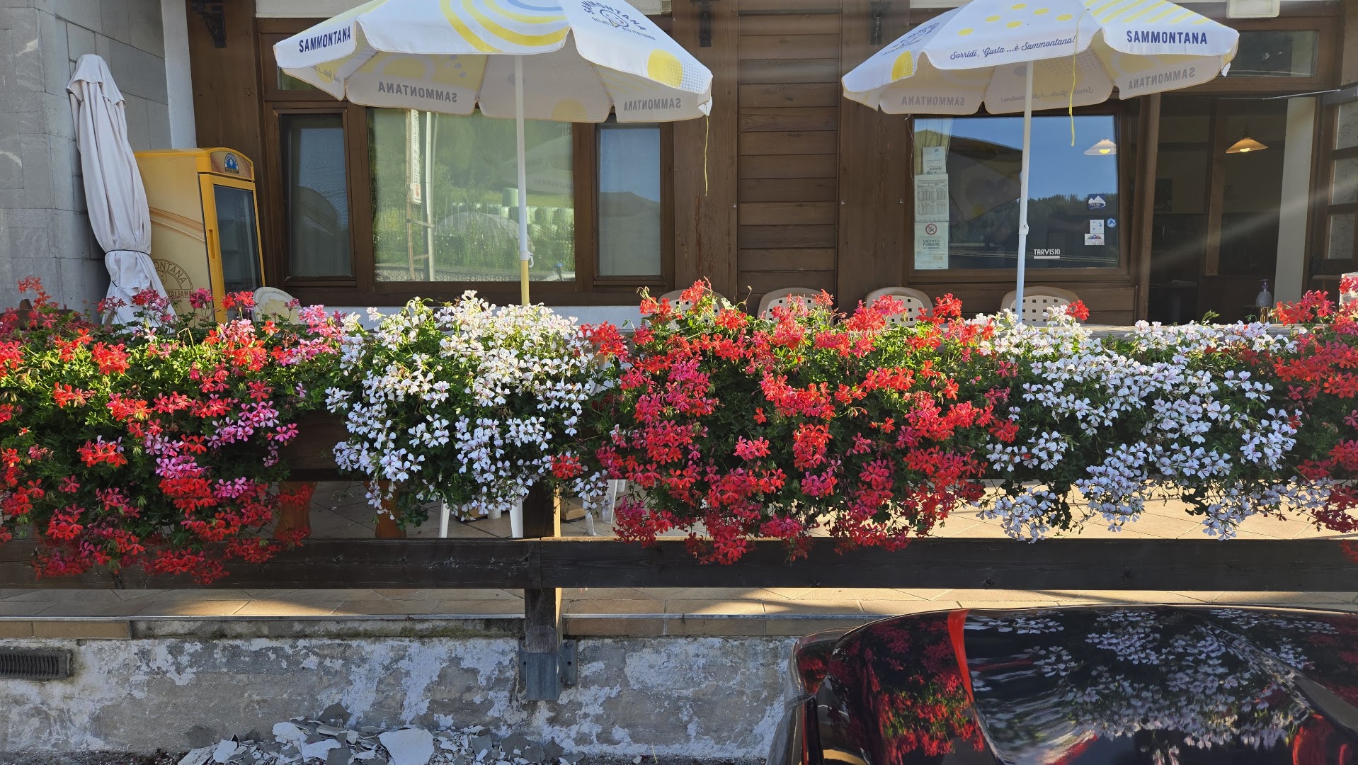 Bar trattoria gasthaus al sole