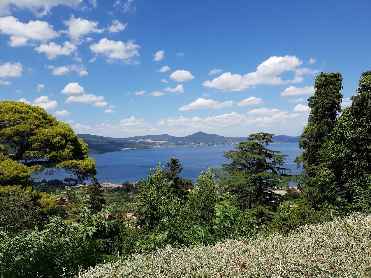 Bar Trattoria Modì