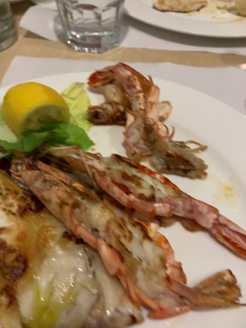 Bar Trattoria New Drink and Food