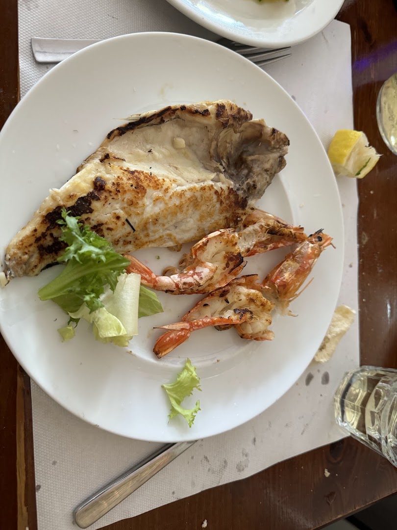 Bar Trattoria New Drink and Food