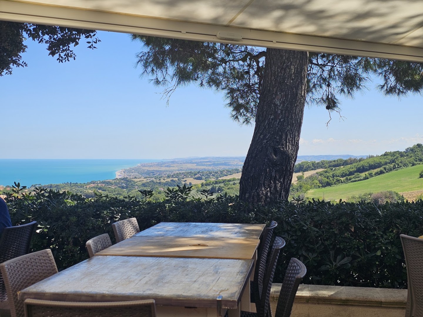 Bar Trattoria Rosso Conero
