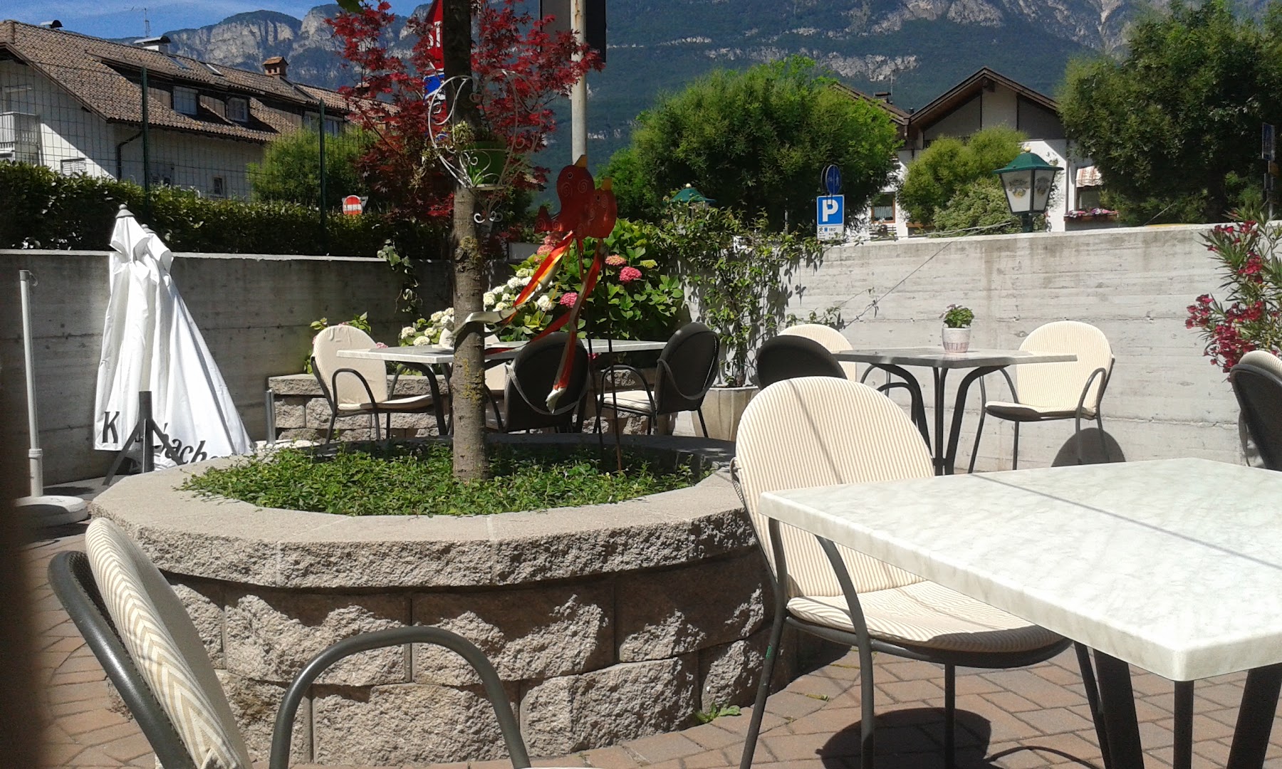 Bar Vaja