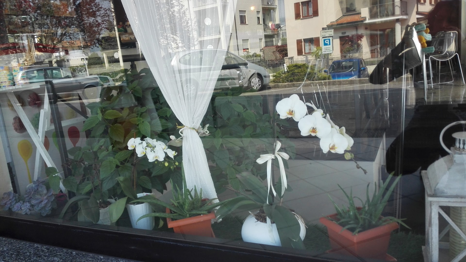 Bar Yle, Montello