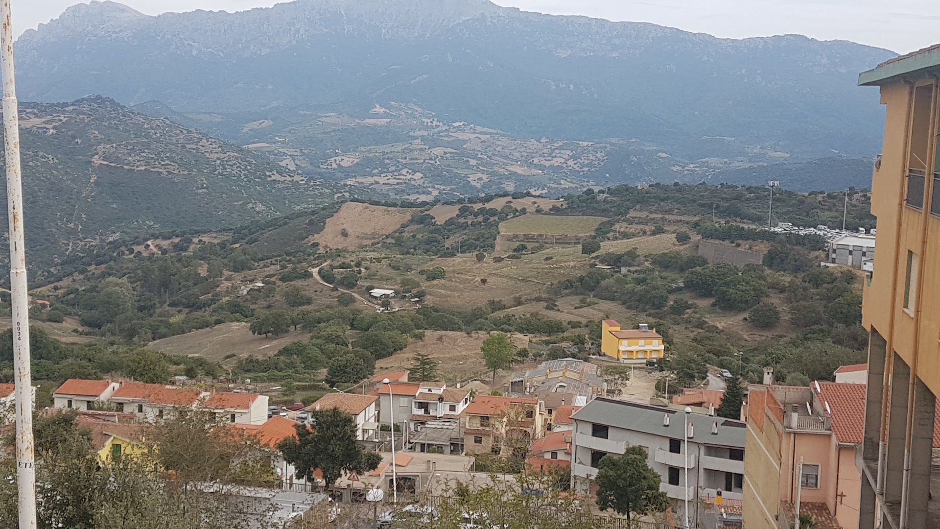 Bar Ziu Mesina